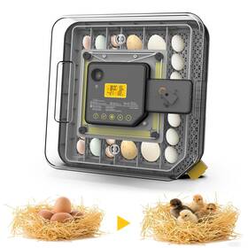 Jdfhq48 Sphingix 48 Incubators For Hatching Eggs Incubator With Egg Candler Automatic T