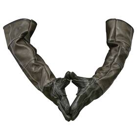 Sporting Style 098841620327 Animal Handling Gloves Bite Proof Reinforced Leather For Dog Training Cat Scr