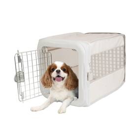 Sportpet Designs 886440780906 Sport Pet Small Pop Crate