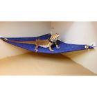 Srd4xkk51y Carolina Designer Dragons Hammock Categories For Bearded Blue 753807275538