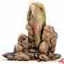 Srz100011404 B00bs95cuk R-zilla Small Animal Decor Pebble Rox X-large