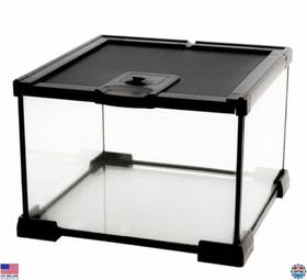 B0csybmnfl Stanley Mini Reptile Glass Terrarium Tank For Geckos Frogs Snakes And Insects 7.9 Inch
