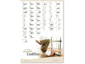 Stott Pilates 690650095800 Wall Chart - Essential Cadillac 27.00 Inch X 39.00