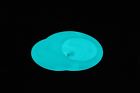 Stroodies Glowing Aqua Bubbleloft Crested Gecko Hide Includes Suction Cups