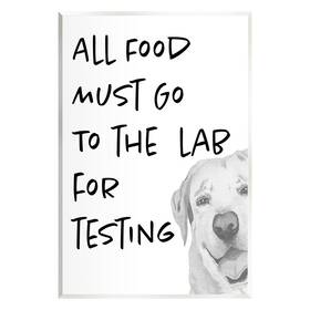 Stupell Industries 197081851307 Food To Lab For Testing Funny Dog Wood Wall Art Design By Elizabeth Medley