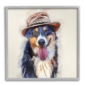 Stupell Industries 197658491684 Collie Dog Brown Hat Pet Framed Giclee Art Design By Kim Curinga