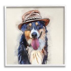 Stupell Industries 197658491721 Collie Dog Brown Hat Pet Framed Giclee Art Design By Kim Curinga