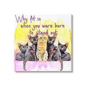 Stupell Industries 197658492742 Born To Stand Out Cats Pet Phrase Canvas Wall Art Design By Kim Curinga