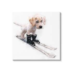 Stupell Industries 197658849782 Puppy Skiing Winter Pet Canvas Wall Art Design By Kim Curinga