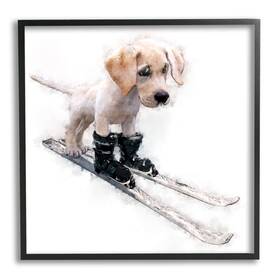 Stupell Industries 197658849799 Puppy Skiing Winter Pet Framed Giclee Art Design By Kim Curinga