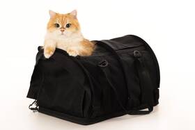 Sturdi Products 810165810297 Sturdibag Pro 2.0 Pet Travel Carrier With Flexible Height For Cats And Dogs