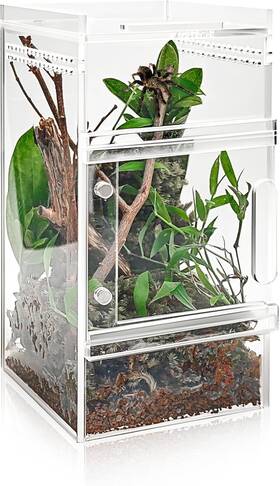 42233255 Styedek Jumping Spider Enclosure 3x3x6 Inch Acrylic Cage Insect Terrarium Bug