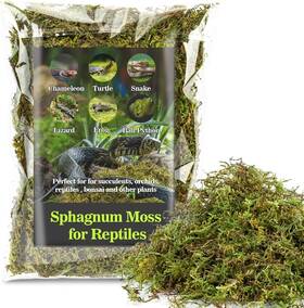 H-re-sphagnummoss-222 Sukh Sphagnum Moss For Reptiles -terrarium Peat Green