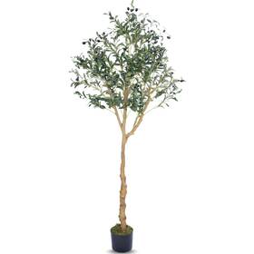 Summit Sphere 199284095977 Artificial Olive Tree - 6ft Realistic Plants Indoor Decor Elegan
