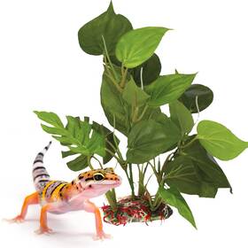 5k-6nii-nzp6 Sungrow Gecko And Reptile Tank Decor Artificial Plant Anubias - Plastic
