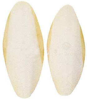 Sungrow 688977511349 2 Pack Large 6 Inch Cuttlefish Bones Made With Real Cuttle Fish Cal