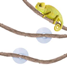 6q-bt72-63vc Sungrow 6 Ft Reptile Vine For Terrarium Flexible Climber Lizard Tank Decor Ball Python