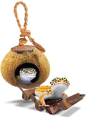 Sungrow 735899171073 Leopard Gecko Coconut Husk Hut With Ladder Shell Opening Cave Habitat