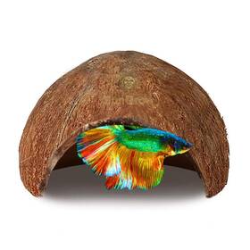 Sungrow 735899171677 Betta Fish Cave Habitat Made From Coconut Shell Soft-textured Smoot