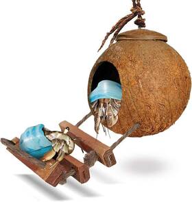 Sungrow 735899171813 Hermit Crab And Dwarf Gecko Coco Hut With Ladder Cave Habitat Hanging L