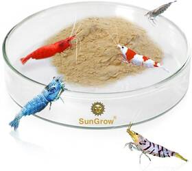 Sd-01 Sungrow Tough Borosilicate Glass Shrimp And Gecko Feed Dish Wide White