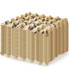 Net-sunnyray-229 Sunnyray 20 Pcs 11.8 X Inch Biodegradable Pulp Fiber Stackable Chicken R