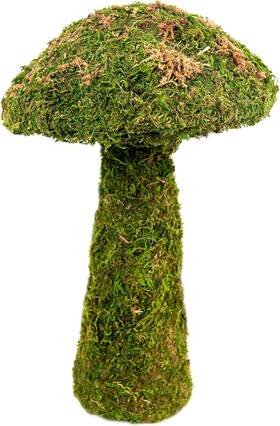 55271 Supermoss 744110548532 Deco Moss Small Mushroom 11 Inch Fresh Green