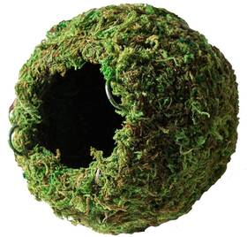 Supermoss 759834053484 Gal Pagos 05348 Mossy Cave Hide 6 Inch Green Sphagnum