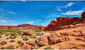 Suplier 445019439497 Red Rocks Reptile Tank Background Sunset Gobi Desert Enclosure Backgroun