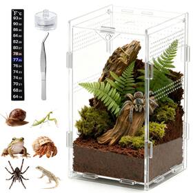Swcutre 607607252155 Acrylic Jumping Spider Enclosure Small Reptile Insect Terrarium Transparent