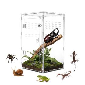 Sw37 Swirge Acrylic Jumping Spider Enclosure Transparent Reptile Terrarium Sm