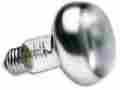 Szmsl150 Zoo Med Laboratories Inc Zoomed Reptibasking Spot Lamp 150 Watts 097612361506