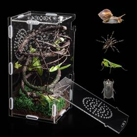 Ff-007 Tcooso Jumping Spider Small-8&apos &apos X4&apos Clear