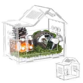 Ff013 Tcooso Jumping Spider Enclosure For Small Species Acrylic Reptile Terrarium Habitat