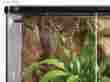 Terrariumrainfallkit1566 Terrarium Rainfall Kit Humidifier Greenhouse System Reptile Fogger Mist Maker 789048331566