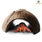 Testvendorhut Sungrow Sale Natural Connectable 791043305022