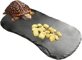 Tfwadmx 445013127116 Reptile Basking Platform 11ftftx5.5ftft Tortoise Rock Plate Feeding Food Bow