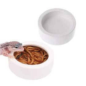Tfwadmx 745103426370 2 Pack Reptile Food Bowl Mini Ceramic Water Feeder Worm Feed Inch