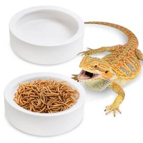 Yu-13-2 Tfwadmx 2 Pack Reptile Food Bowl Ceramic Water Pcs 3.9 Ftft X 1.1 White