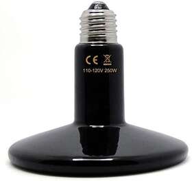 Thebluestone 445013594543 250 Watt Mini Ceramic Reptile Heat Lamp Bulb E26 No-light Infrared