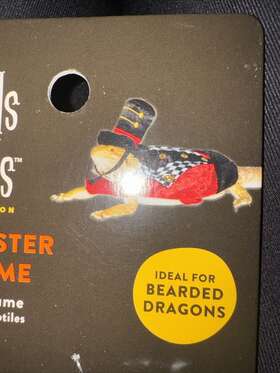 Thrills & Chills 196481000100 And Collection Ringmaster Reptile Costume For Bearded Dragons