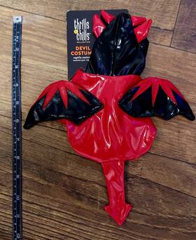 Thrills&chills 196481035720 And Reptile Devil Costume - Bearded Dragon