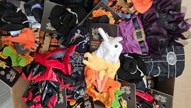 5329181 Thrills & Chills Lot Of 48 And Collection Lizard Reptile Costume For Bearded Dragons