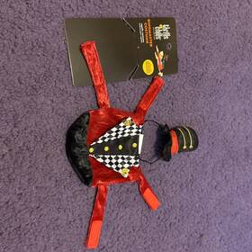 5329184 Thrills & Chills And Collection Ringmaster Reptile Costume For Bearded Dragons