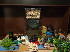 22.4h Thrive 20 Gal Reptile Enclosure /w Setup Supplies Please Read Description