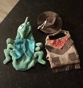 5328876 Thrive Bearded Dragon Halloween Costume Lot Of 2 By - Cricket And Cowboy