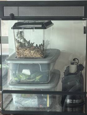 5315225 Thrive Zoo Med Flukers 30 Gallon Reptile Terrarium Kit Decorations And Cleaning Tools