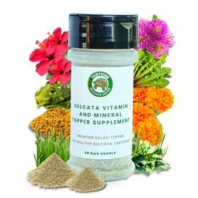 Tortoise Resource Center 198715025422 Sulcata Calcium And Mineral Topper Salad For Baby