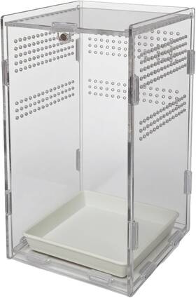 Totzlian 313047742766 Acrylic Jumping Spider Enclosure Reptile Bug Habitat For Small Tree