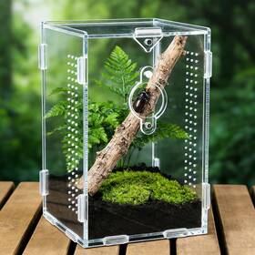 Totzlian Totzlian 00010 Acrylic Jumping Spider Enclosure Reptile Bug Habitat For Small Tre